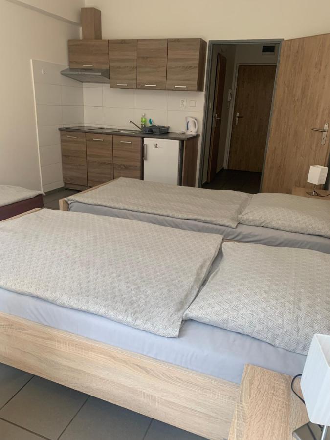 Apartmany Havlickova Mlada Boleslav Bagian luar foto